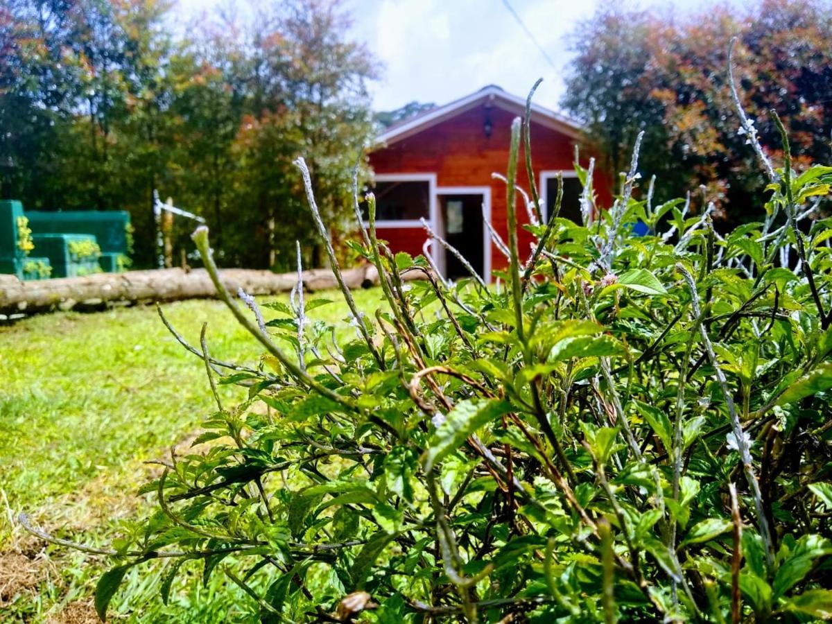 Hospedaje Santaelena -Chalets De Montana- Santa Elena  Exteriör bild