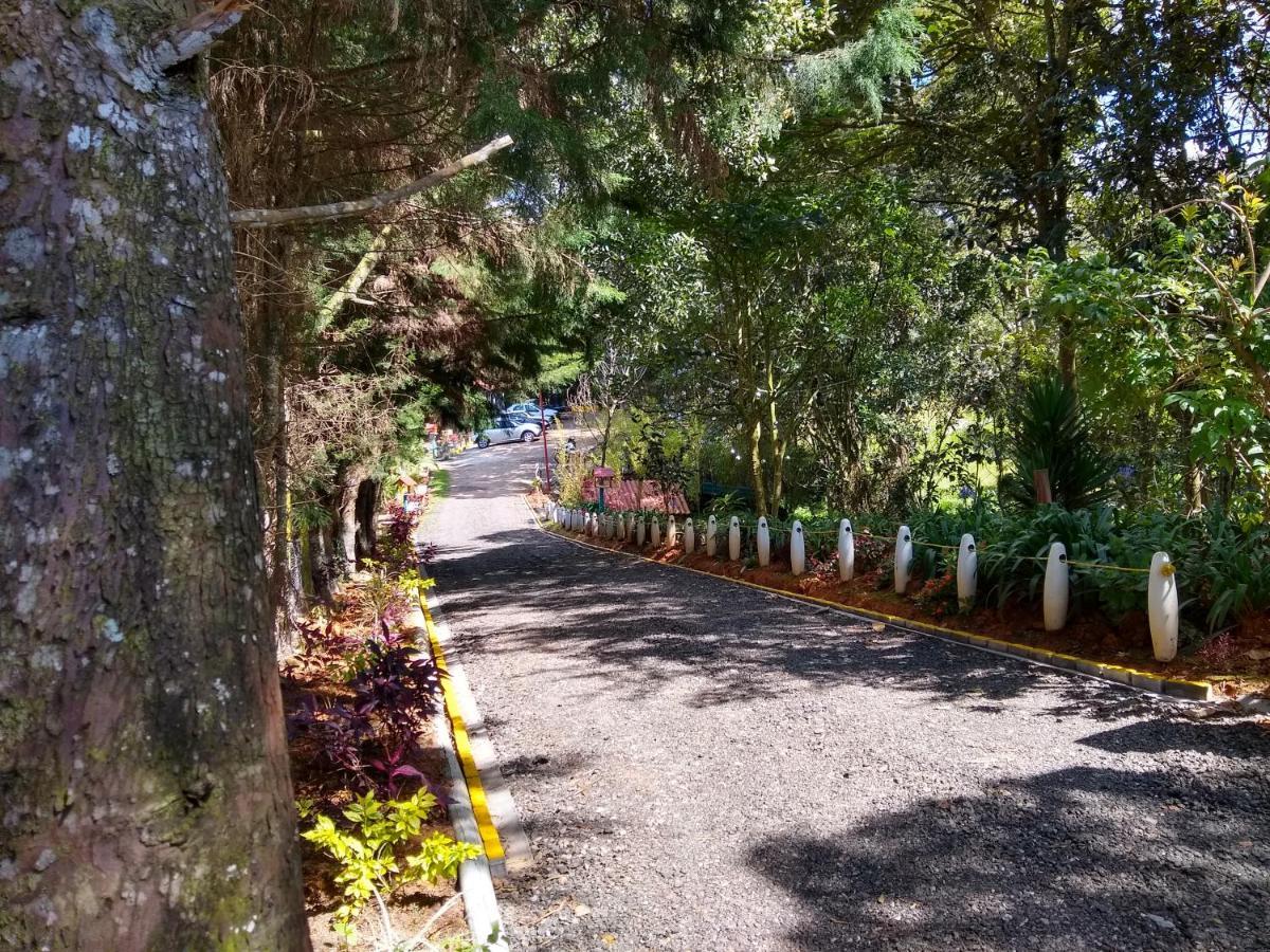 Hospedaje Santaelena -Chalets De Montana- Santa Elena  Exteriör bild